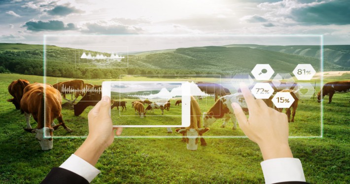 乐成案例 - pg电子通讯——天下和你更近